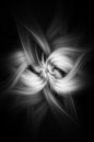 Twirl van Ingrid Van Damme fotografie thumbnail
