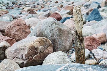 Steine und Buhne an der Küste der Ostsee von Rico Ködder