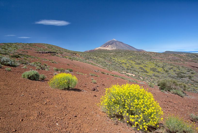 Pico del Teide au printemps par Angelika Stern