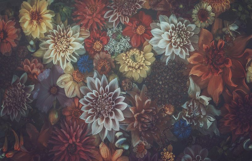 Drame par Marina de Wit