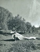 WEDDING OLIVE GROVE BRIDAL VEIL