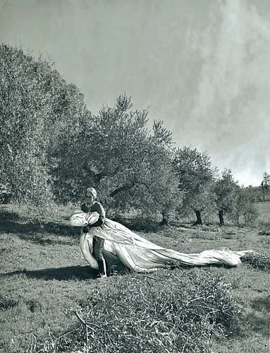 HUWELIJK OLIJFGAARD BRUIDSSLUIER