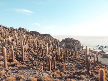 Isla Incahuasi, Uyuni - Bolivia van Stefanie Lamers