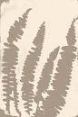 Abstracte botanische kunst. Varenbladeren. van Dina Dankers thumbnail