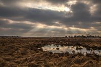 De Veluwe