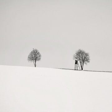 Minimal WinterScape van Lena Weisbek