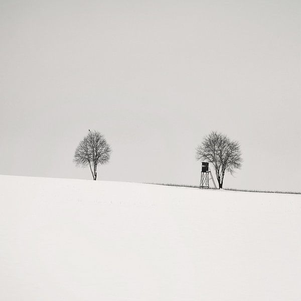Minimal WinterScape von Lena Weisbek