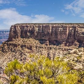 GRAND CANYON Moran Point Panorama van Melanie Viola