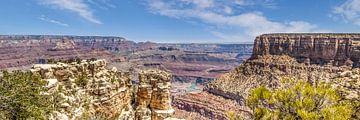 GRAND CANYON Moran Point Panorama