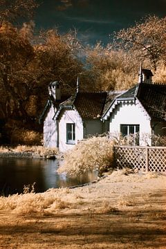 Duck Island Cottage, Londen van Helga Novelli