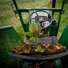 Boompje in tractorzadel van Theo Felten