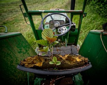 Boompje in tractorzadel