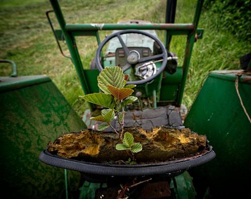 Boompje in tractorzadel van Theo Felten