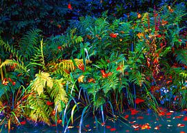 Along the waterfront by tim eshuis