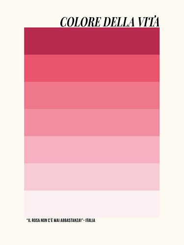 ‘Il rosa non cé mai abbastanza!’ (Er is nooit genoeg roze!)