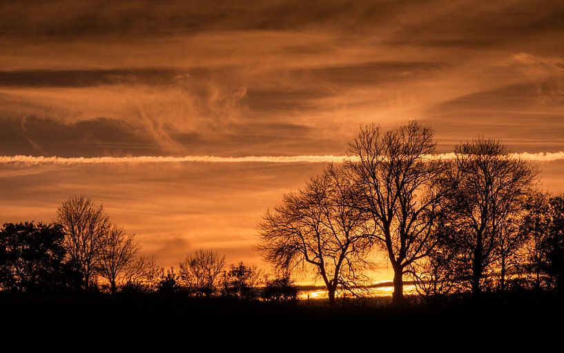 In Between Yellow and Red van Ronald Smeets Photography