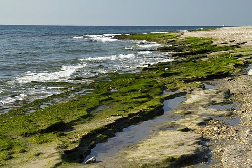 The Green Beach by Cornelis (Cees) Cornelissen