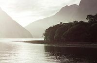 Milfort Sound, New Zealand