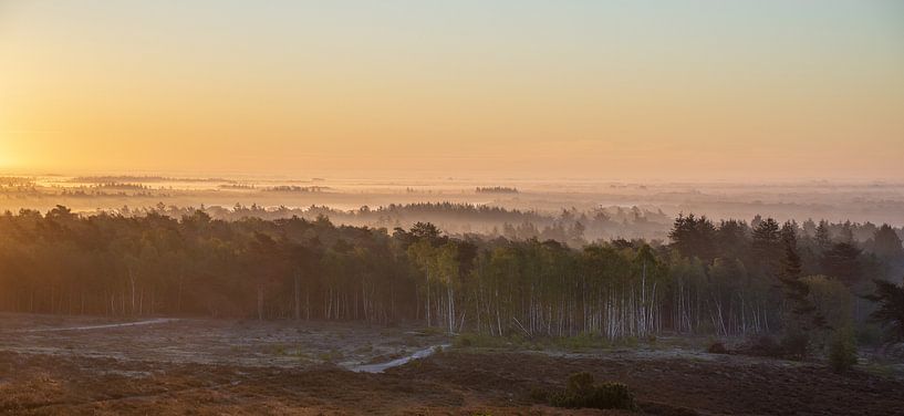 Un chaud lever de soleil sur la lande par zeilstrafotografie.nl