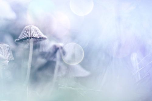 Tussen de buien door