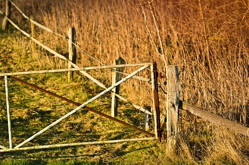 Sterk hek werk in de lente zon