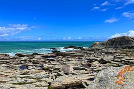 Oranje korstmossen op door de zon verbleekte stenen van Theodor Decker