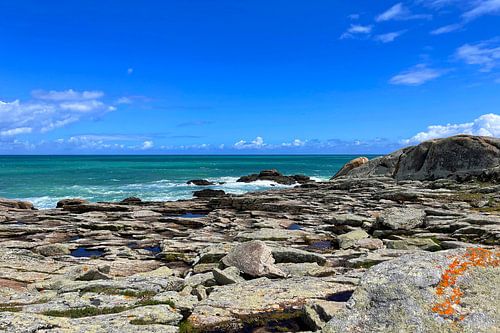 Oranje korstmossen op door de zon verbleekte stenen