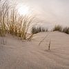 Duinen strand van Fotografie-Broenink