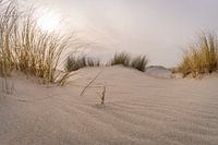 Dune beach