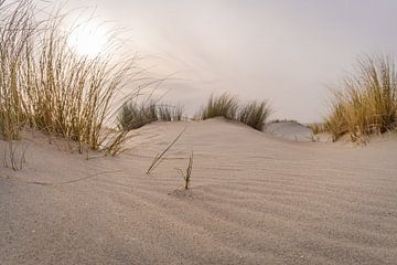 Duinen strand van Fotografie-Broenink