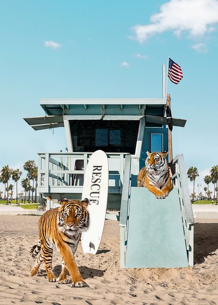 Les tigres à la rescousse par Gal Design