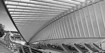 Treinstation GUILLEMINS LUIK by M  van den Hoven