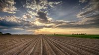 Linien in der Landschaft von Martijn van Dellen Miniaturansicht