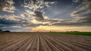 Linien in der Landschaft von Martijn van Dellen