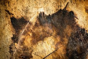 Holz Maserung abstrakt