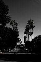 Beverly Hills - Zwart wit