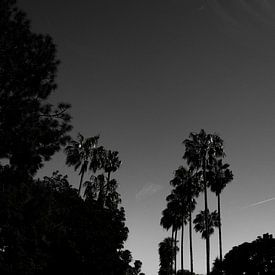 Beverly Hills - Zwart wit by Pleuni van der Pas