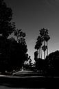 Beverly Hills - Zwart wit by Pleuni van der Pas thumbnail