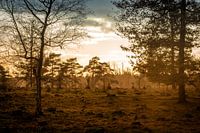 Sonnenuntergang im Herbst