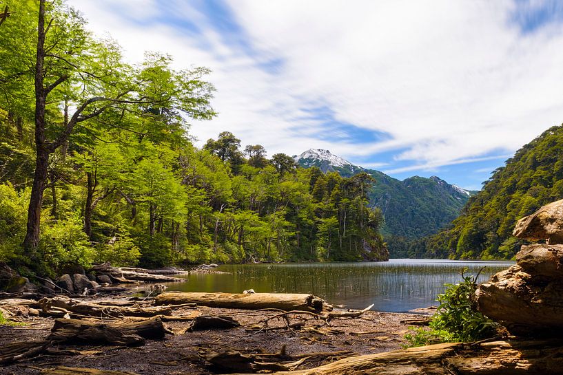 Chile - Lago Toro (Huerquehue) by Jack Koning