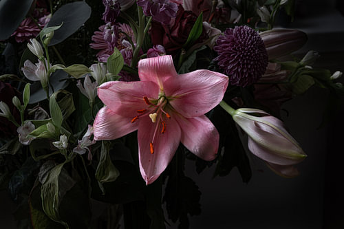 Low light flowers
