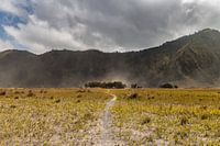 The sand plains of Mount Bromo