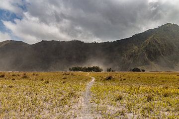 The sand plains of Mount Bromo