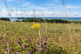 Groß Zicker, Blick zum Klein Zicker, den Zicker See und die Ostsee, Rügen von GH Foto & Artdesign