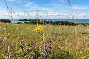 Groß Zicker, Blick zum Klein Zicker, den Zicker See und die Ostsee, Rügen