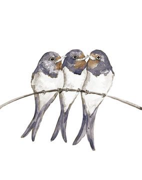 Three young swallows by Bianca Wisseloo