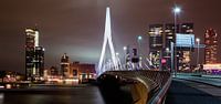 Langs de Erasmusbrug - skyline van Rotterdam van Fabrizio Micciche thumbnail