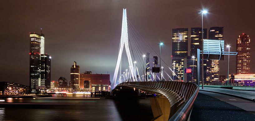 Langs de Erasmusbrug - skyline van Rotterdam van Fabrizio Micciche
