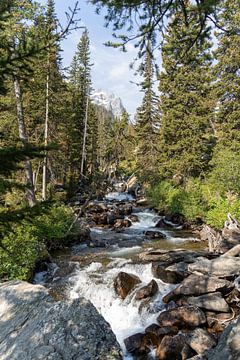 Grand Teton National Park, USA, rivier in Cascade Canyon van Jeroen van Deel