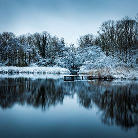 Winters landschap Axel van Wesley Kole